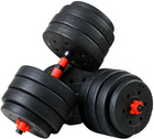 Bitumen dumbbells 40 kg Set 2x20 kg