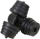 Bituminous dumbbells 30 kg set 2x15 kg