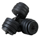 Bitumen dumbbells 40 kg Set 2x20 kg